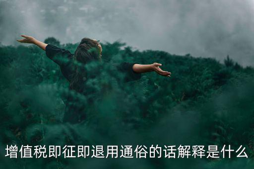 增值稅即征即退用通俗的話解釋是什么