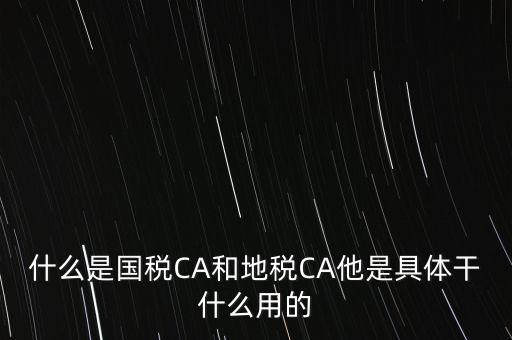 什么是國(guó)稅CA和地稅CA他是具體干什么用的