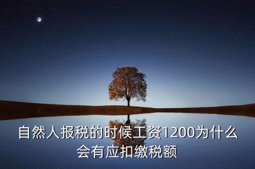 自然人報稅的時候工資1200為什么會有應(yīng)扣繳稅額