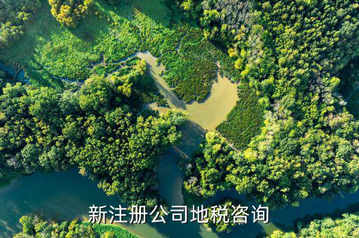 地稅有什么問(wèn)題可咨詢，新注冊(cè)公司地稅咨詢