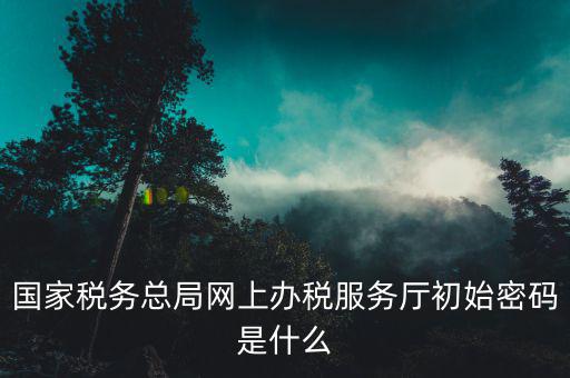 國家稅務(wù)總局網(wǎng)上辦稅服務(wù)廳初始密碼是什么