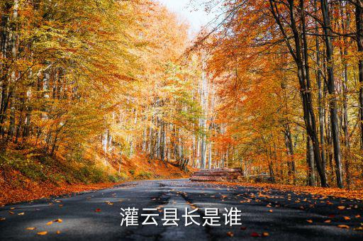 灌云國(guó)稅局局長(zhǎng)叫什么，國(guó)家稅務(wù)局局長(zhǎng)叫什么