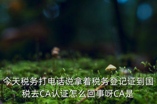 稅務局ca證書是什么，今天稅務打電話說拿著稅務登記證到國稅去CA認證怎么回事呀CA是