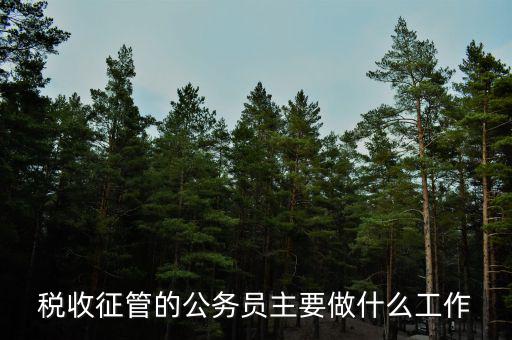 稅收管理員干什么的，稅收征管的公務(wù)員主要做什么工作