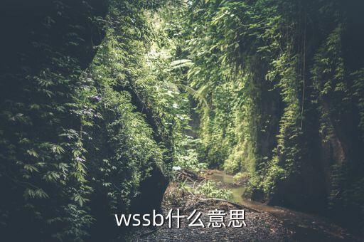 wssb是什么地方，開(kāi)普敦是什么地方