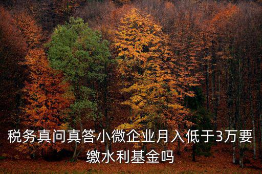 稅務(wù)真問(wèn)真答小微企業(yè)月入低于3萬(wàn)要繳水利基金嗎