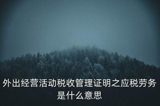 外出經(jīng)營(yíng)活動(dòng)稅收管理證明之應(yīng)稅勞務(wù)是什么意思