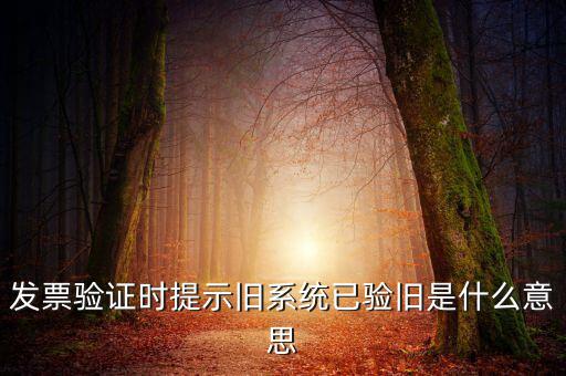 發(fā)票的驗舊時間是什么意思，發(fā)票驗證時提示舊系統(tǒng)已驗舊是什么意思