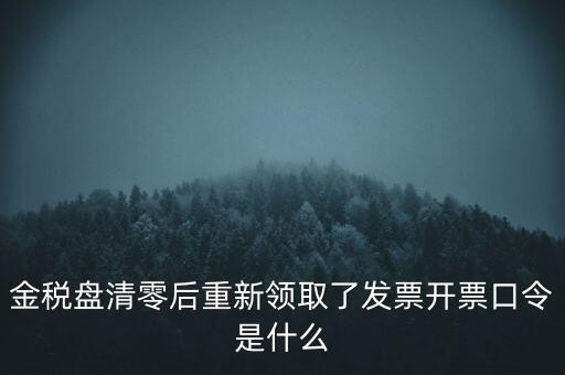 金稅盤口令是什么，金稅盤密碼口令忘記已試個(gè)6次還能試嗎