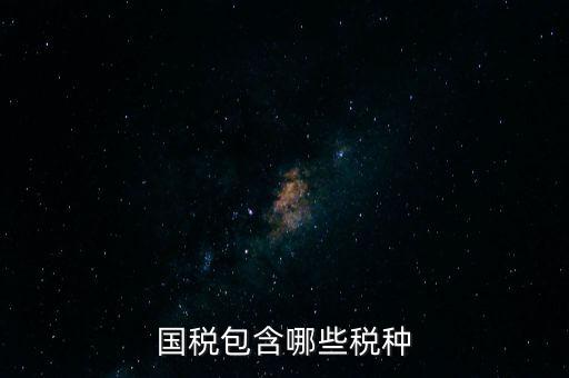 國稅發(fā)票有什么項目，國稅通用手工發(fā)票可以開什么項目經(jīng)營范圍是道路普通貨物運輸