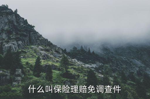 什么叫保險(xiǎn)理賠免調(diào)查件