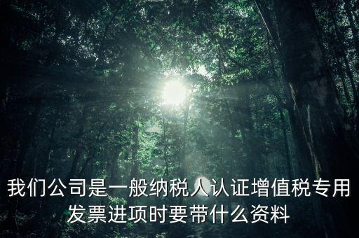 我們公司是一般納稅人認證增值稅專用發(fā)票進項時要帶什么資料