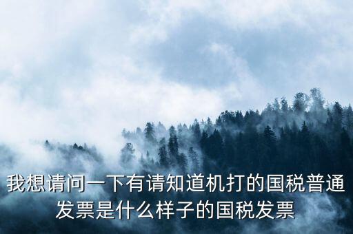 我想請(qǐng)問一下有請(qǐng)知道機(jī)打的國稅普通發(fā)票是什么樣子的國稅發(fā)票