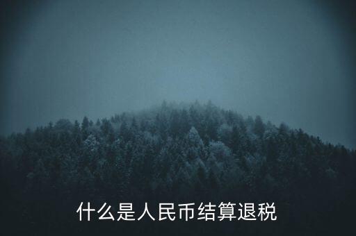 匯算結(jié)算退稅是什么，什么是人民幣結(jié)算退稅