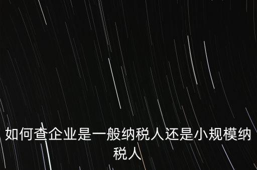 查詢公司什么納稅人，如何查企業(yè)是一般納稅人還是小規(guī)模納稅人