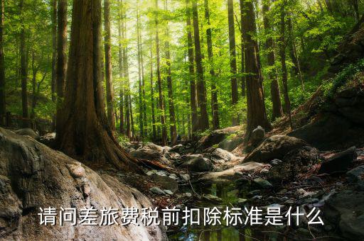 請(qǐng)問(wèn)差旅費(fèi)稅前扣除標(biāo)準(zhǔn)是什么