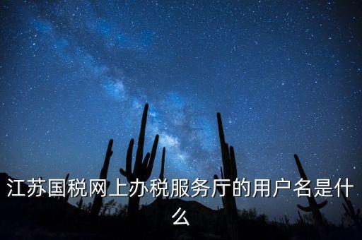 江蘇國稅用戶名密碼是什么，江蘇國稅網(wǎng)上辦稅服務廳的用戶名是什么