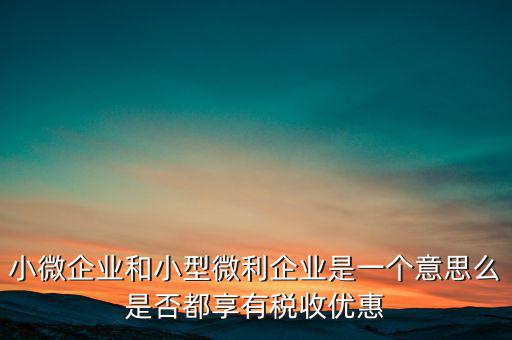 小微企業(yè)和小型微利企業(yè)是一個(gè)意思么是否都享有稅收優(yōu)惠