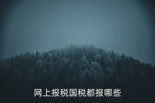 國(guó)稅云辦稅廳都報(bào)什么，你好我是新手我想問一下前輩國(guó)稅每月季年都報(bào)什么報(bào)表