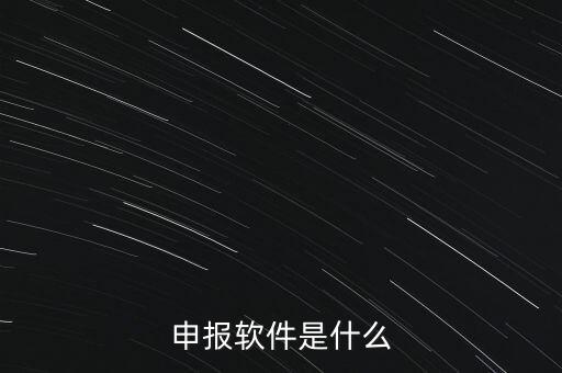 增值稅申報(bào)用什么軟件，申報(bào)軟件是什么