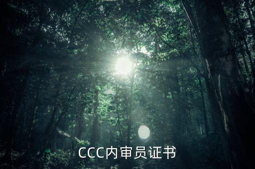 CCC內(nèi)審員證書