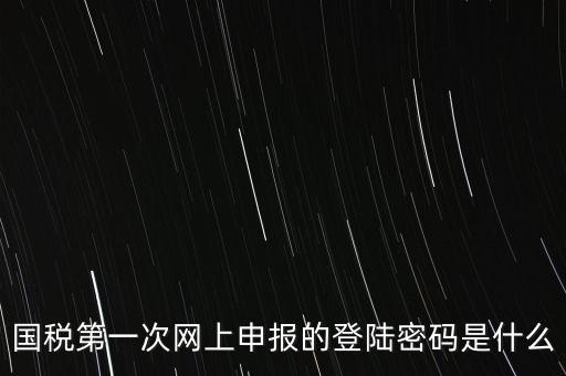 國稅的登錄密碼是什么，國稅第一次網(wǎng)上申報(bào)的登陸密碼是什么