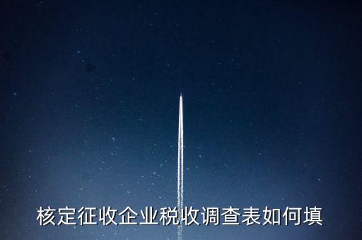 什么企業(yè)填稅收調(diào)查表，核定征收企業(yè)稅收調(diào)查表如何填