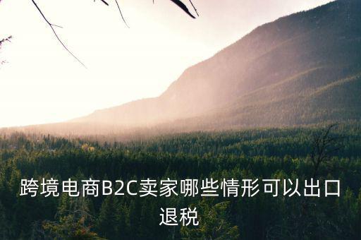 什么情況下要退稅，跨境電商B2C賣家哪些情形可以出口退稅