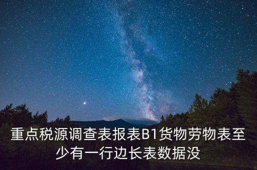 重點稅源調查表報表B1貨物勞物表至少有一行邊長表數(shù)據(jù)沒