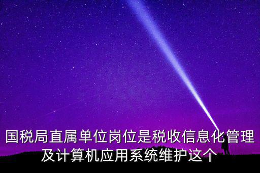 國稅局直屬單位崗位是稅收信息化管理及計算機(jī)應(yīng)用系統(tǒng)維護(hù)這個