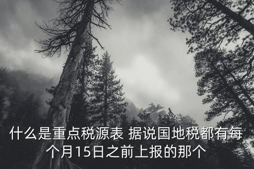 什么是重點稅源表 據(jù)說國地稅都有每個月15日之前上報的那個