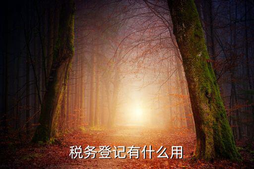 有稅務(wù)登記有什么好，稅務(wù)登記有什么用