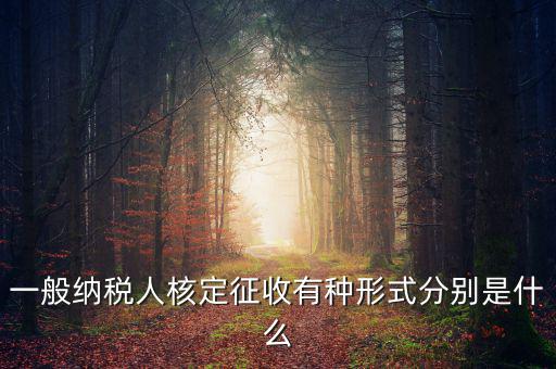 國稅函調(diào)是什么形式，國稅函調(diào)系統(tǒng)可以發(fā)起普通發(fā)票協(xié)查嗎