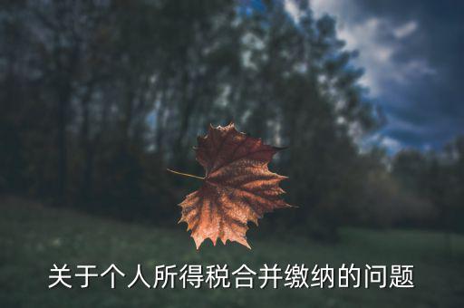 關(guān)于個人所得稅合并繳納的問題