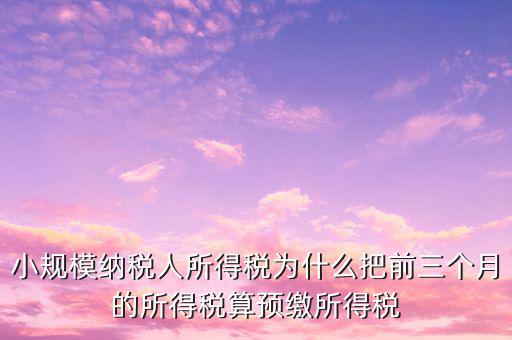 為什么會有預繳所得稅，我企業(yè)是今年1月被稅局核定按收入繳納企業(yè)所得稅 為什么第一季度報