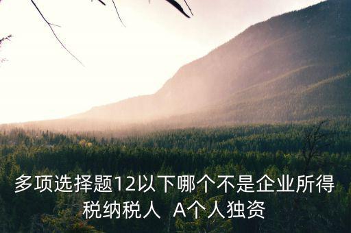 什么納稅人，多項選擇題12以下哪個不是企業(yè)所得稅納稅人  A個人獨資