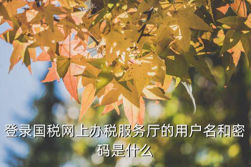 江蘇國稅電子稅務(wù)局登錄用戶名是什么，江蘇國稅網(wǎng)上辦稅服務(wù)廳的用戶名是什么