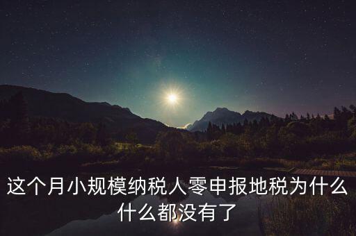 這個月小規(guī)模納稅人零申報地稅為什么什么都沒有了