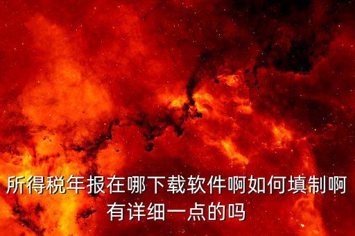 長春國稅需要下載什么，長春市個人所得稅軟件在哪里下載怎么使用啊