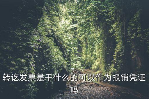 什么叫轉(zhuǎn)發(fā)票，我開了一張農(nóng)村合作信用社的轉(zhuǎn)賬發(fā)票請(qǐng)問什么是對(duì)應(yīng)發(fā)票