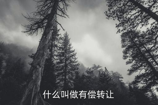 有償轉(zhuǎn)移安置什么意思，有償轉(zhuǎn)發(fā)什么意思