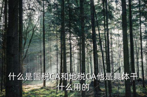 什么是國稅CA和地稅CA他是具體干什么用的