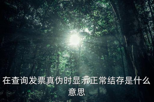 在查詢發(fā)票真?zhèn)螘r(shí)顯示正常結(jié)存是什么意思