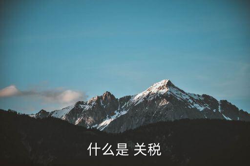 什么是 關(guān)稅