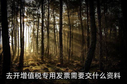 去開增值稅專用發(fā)票需要交什么資料