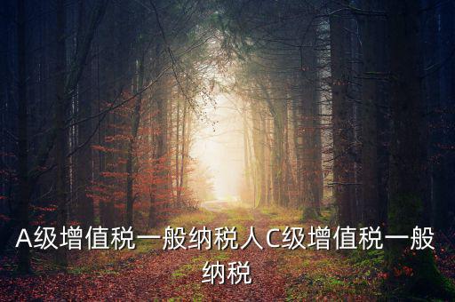 b級納稅人是什么意思，A級增值稅一般納稅人C級增值稅一般納稅