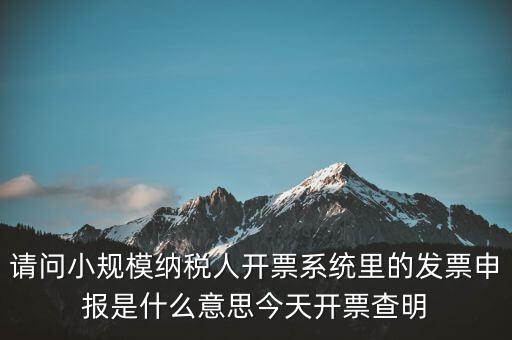 請(qǐng)問小規(guī)模納稅人開票系統(tǒng)里的發(fā)票申報(bào)是什么意思今天開票查明