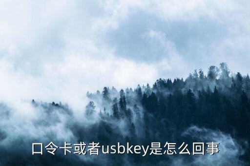 口令卡或者usbkey是怎么回事