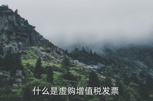 虛抵增值稅什么意思，什么是虛購(gòu)增值稅發(fā)票