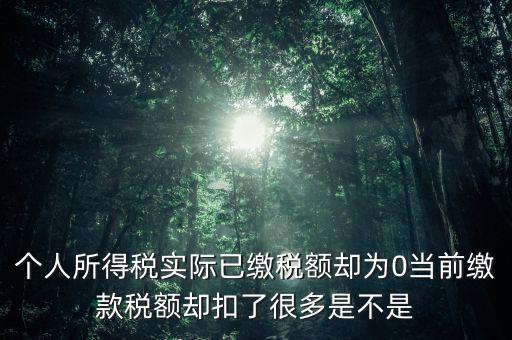 實繳稅額為什么是0，當期的實交增值稅額為0是否進行城建稅的申報什么意思可以不用申報